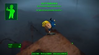 Agility Bobblehead  Wreck of the FMS Northern Star  Fallout 4 [upl. by Ardnaeel]