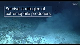 Survival strategies of energyproducing bacteria in hydrothermal vents [upl. by Isaacs539]