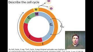 Honors Biology 33 All Cells Come from PreExisting Cells [upl. by Leroy328]