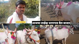 आजचा live🛑2922024 धरणगाव बैल बाजार वार गुरुवार धरणगाव बैलबाजार🐂🐂 [upl. by Hsital]