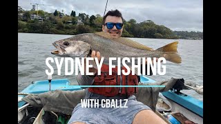 Sydney Fishing  With Cballz flatheadfishing sydneyfishing [upl. by Aniaj]