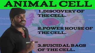 CELL ANIMAL CELL THE STRUCTURAL AND FUNCTIONAL UNIT OF LIFE II Rajendrs Erudite [upl. by Persian]