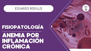 FISIOPATOLOGÍA  ANEMIA POR INFLAMACIÓN CRÓNICA medicine doctor anemia [upl. by Jereld]