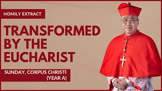 Transformed By The Eucharist  William Cardinal Goh Homily  11 Jun 2023  Corpus Christi [upl. by Moretta658]