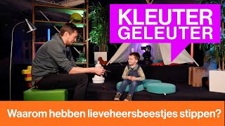 Waarom hebben lieveheersbeestjes stippen  Kleutergeleuter [upl. by Yonit]