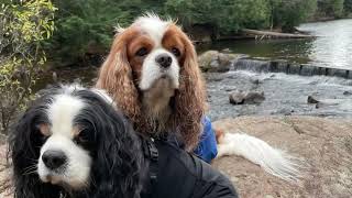 Hiking in Gatineau Park [upl. by Alber881]