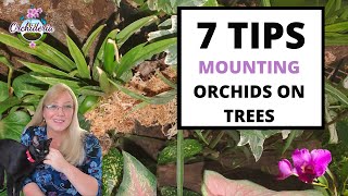 Mounting Orchids on Trees Watch This BEFORE you Mount 5 Benefits and 7 Tips [upl. by Akinimod]