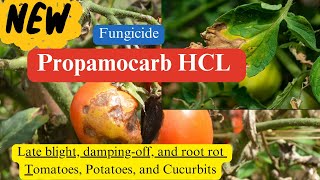 Propamocarb Hydrochloride Fungicide Chemistry Modes of Action Formulations and Applications [upl. by Atipul]