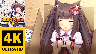 Episode 1  NEKOPARA Vol 1  Walkthrough No Commentary 4K [upl. by Weisler]