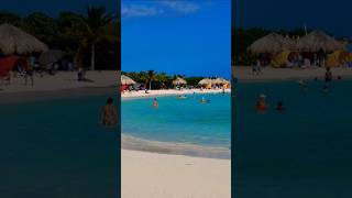 aruba youtubeshorts video youtube travel ideas 🇦🇼 [upl. by Mathew820]