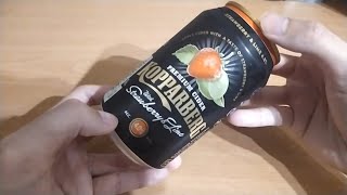 Nice Cider With Great Taste  Kopparberg Premium Cider with Strawberry amp Lime Review [upl. by Winwaloe]