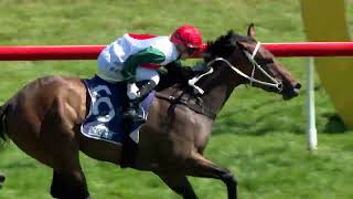 HITABELL  Fillies Stakes 2024 3YO SW F LR Listed Wanganui NZ 30 November [upl. by Kenwee314]