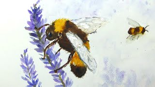 Aquarelle  Abeille butinant [upl. by Gaal70]