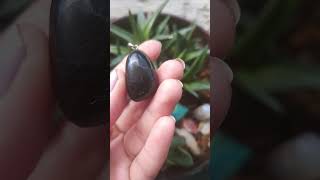 Shungite Pendant [upl. by Ahsillek482]