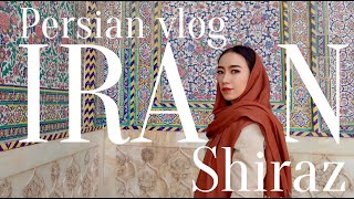 🇮🇷 【Persian Vlog】My first trip in Iran Shiraz سفر در ایران subtitles [upl. by Nagorb]