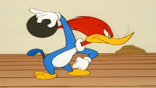 Woody Woodpecker  Woody Goes Bowling  More Full Episodes [upl. by Ahsieyn919]