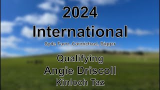 Angie Driscoll  Kinloch Taz  2024 International Sheep Dog Trial Qualifying [upl. by Johannes47]