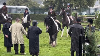 Great Yorkshire Show 2024  Full video Monivea Black Magic class amp championship [upl. by Burk912]