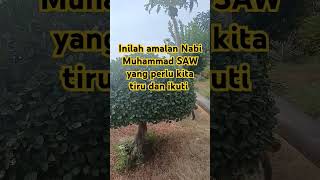 Amalan Nabi Muhammad SAW yang perlu kita tiru dan ikuti feedshorts misteri automobile youtube [upl. by Ibloc779]