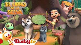 El libro de la selva 🌿🐍🐻 Nueva Serie Comienza el 20 de Noviembre solo en BabyTVSP [upl. by Okikuy815]