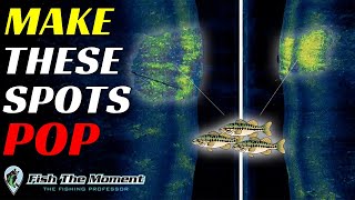 This Fish Finder HACK Can Make or Break Your Success Offshore  Bass Fishing Electronics [upl. by Gnal]