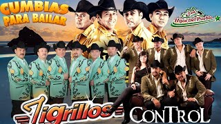 Tigrillos  Los Hijos Del Pueblo Grupo Control Mix Cumbias Para Bailar  Cumbia Nortena Exitazossss [upl. by Allwein]