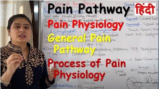 Pain Pathway in Hindi  Pain Physiology  General Pain Pathway  Process of Pain Physiology [upl. by Derfla710]