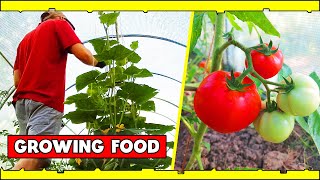 I Spent 150 Days Growing Food  And This Is What Happened [upl. by Westbrooke]