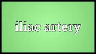 Iliac artery Meaning [upl. by Leduar]