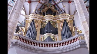 Abendmusik zu Christi Himmelfahrt an der SilbermannOrgel im Freiberger Dom mit Albrecht Koch [upl. by Reidar]