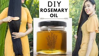 How To Make Rosemary Oil For Faster Hair Growth Thicker Hair amp Prevent Hair Loss Beautyklove [upl. by Ttoille]