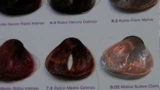 Tutorial Carta de Colores Para El Cabello [upl. by Atilam991]