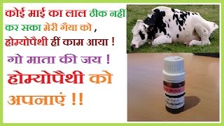 homoeopathic treatement for animals Paralysis पशु के लकवे का होम्योपैथिक इलाज [upl. by Akinej533]