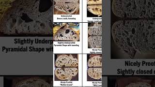 How to read your sourdough loaf crumb  sourdough fermentation  over or underproofed [upl. by Lothario]