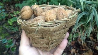 Panier en Noisetier Façon Bushcraft [upl. by Aneehsak103]