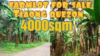 not available ‼️farmlot for saleTiaong quezon4000sqm [upl. by Kriste]