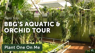 Tour Brooklyn Botanic Gardens AQUATIC amp ORCHID House [upl. by Nosam34]