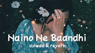 Naino ne baandhi  Slowed  Reverb  DOUND OFF [upl. by Rick936]