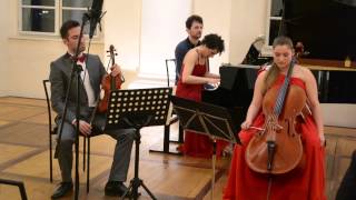 Brahms Piano trio in B major op8 [upl. by Paula]