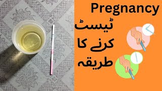 Pregnancy test  Pregnancy Test kaise karte hain  how to check pregnancy test at home [upl. by Loredana615]