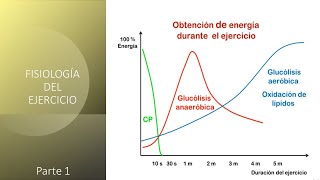 Fisiología del ejercicio  Primera parte [upl. by Nnyltiak]