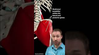 Best Exercises For TightPainful Hip Flexors [upl. by Ginnifer]