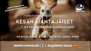 HUPU Viralliset agilitykilpailut 7892024  Koiraurheilukeskus SAVO [upl. by Rennerb]