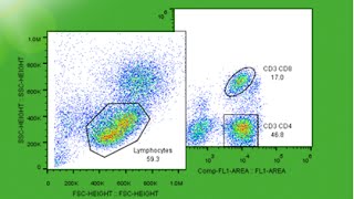 Advanced Topics in Cell Sorting [upl. by Nayb]