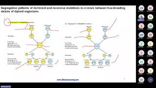 6 Molecular Genetic Techniques [upl. by Yzdnil]