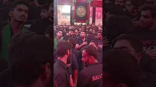 karbala MashAllah 💖💖by meer Hassan meer  janat e ma karbala nadeemsarwar karbala islamicstatus [upl. by Atinra143]