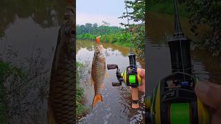 Amazing fishing video🎣 and Catchig a big carp🐟fishing carpfishing [upl. by Nahtahoj576]