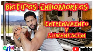 BIOTIPOS ENDOMORFO gorditos como deben ENTRENAR Y ALIMENTARSE [upl. by Eelinnej]