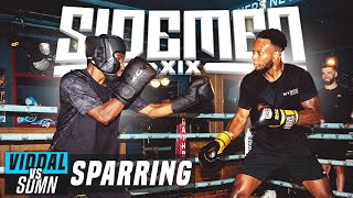 VIDDAL RILEY VS THE SIDEMEN FULL SPARRING [upl. by Rennane]