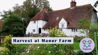 Harvest at Manor Farm step back in time to rural life in England and meet the farmyard animals [upl. by Vonny]